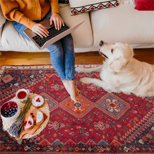 Save 25% to 60% on Area Rugs at Rug Source Winter Sale - Rugsource.Com Discounts & Coupon Codes Image