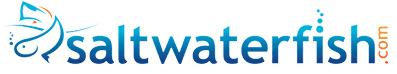 saltwaterfish.com logo